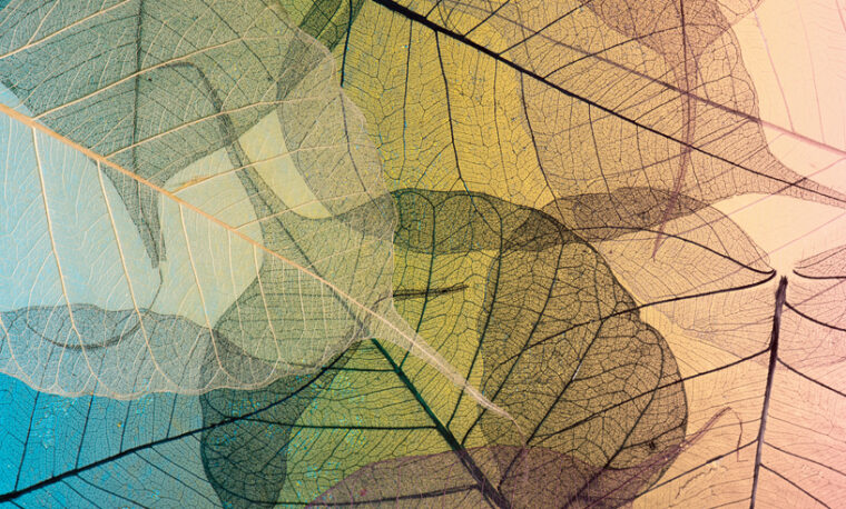 Image for Fiera Private Debt contributes to the expansion of SOFIAC’s service offer to all of Canada and the introduction of Desjardins as part of its capital